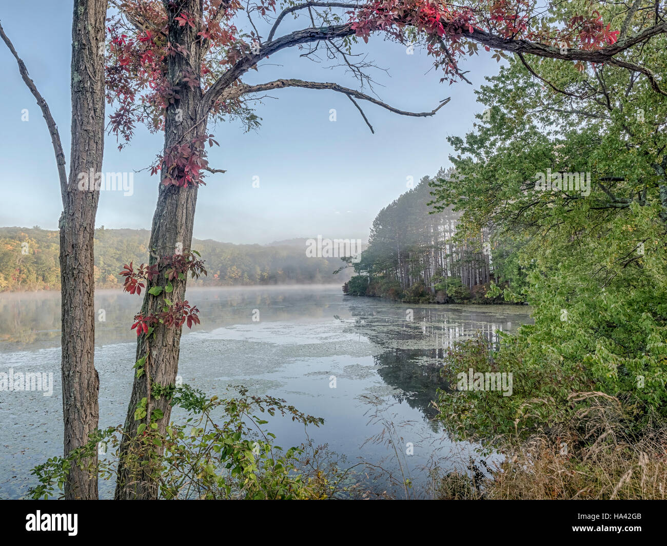 Parc d'État Harriman, l'État de New York, sur le lac tôt le matin en automne Banque D'Images