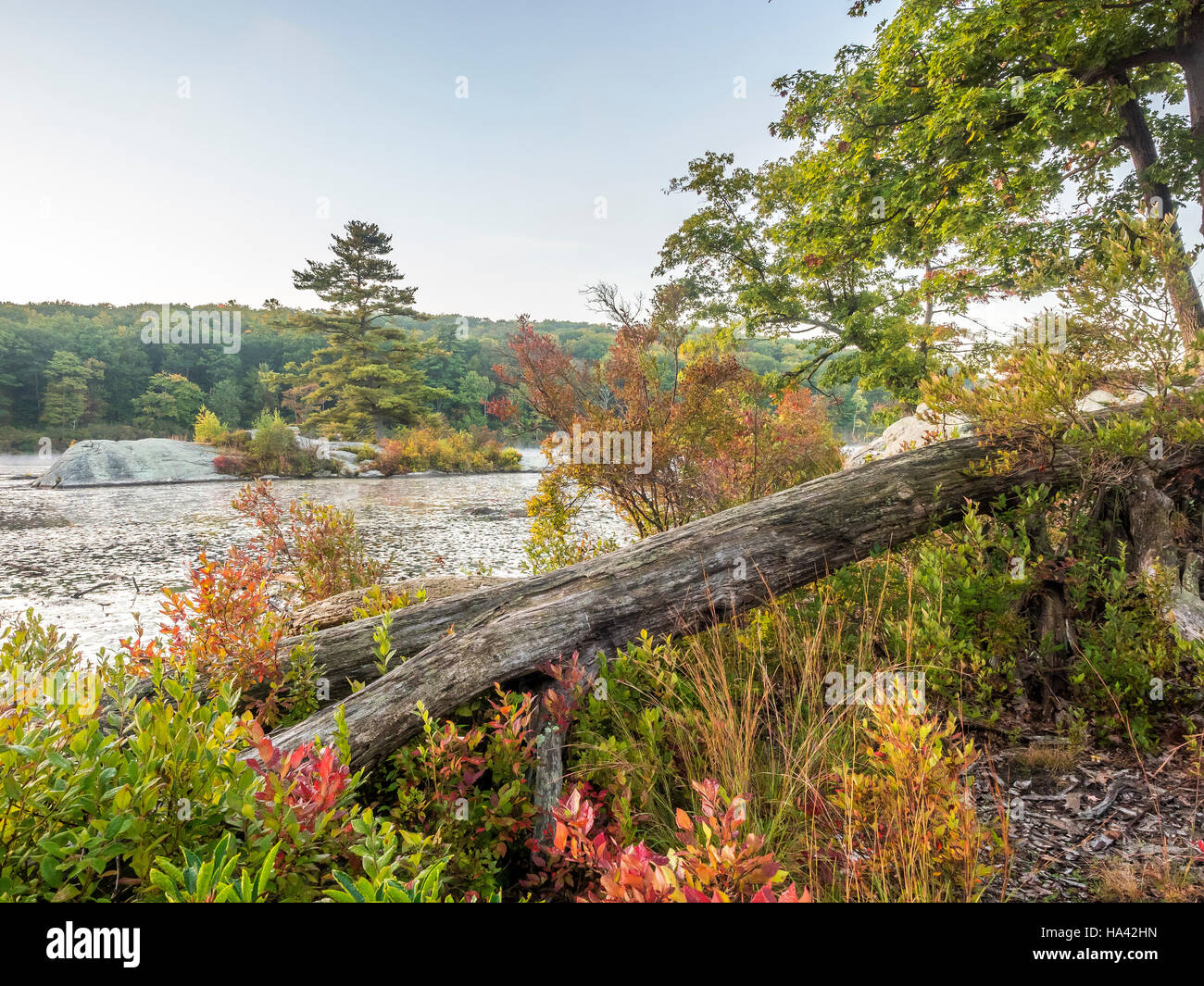 Parc d'État Harriman, l'État de New York à l'automne par le lac beauté dans la nature Banque D'Images