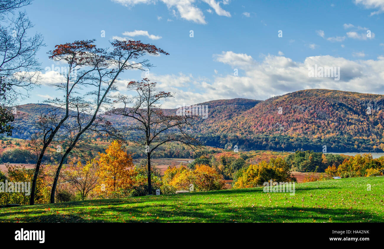 Automne dans la forêt du nord-est des États-Unis, l'état de New York Banque D'Images