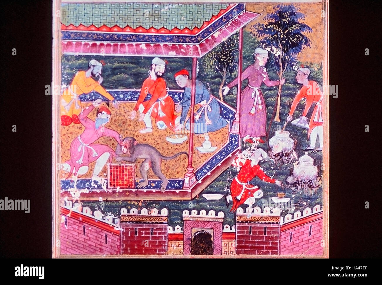 Tableau représentant les blessés monkey de mordre la main du prince comme son compagnon d'échecs et vous regarde. En date du : 1560 A.D. Tuti-Nama. L'Inde Banque D'Images
