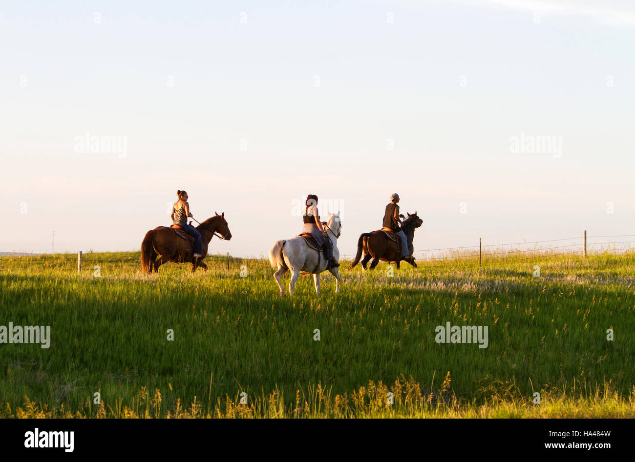 Les Amérindiens de l'équitation près de l'autoroute 18 sur le Rosebud Indian Reservation, Parmelee, Dakota du Sud. Photographie par Jose Plus / VWPICS Banque D'Images