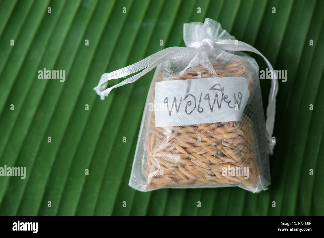 Le riz paddy thaïlandais Thai alphabet avec tag est suffisant de philosophie roi thai Banque D'Images
