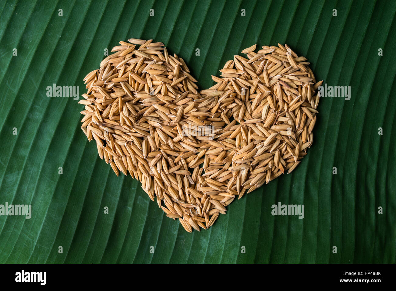 Symboles de semences de riz sur des feuilles de banane Banque D'Images