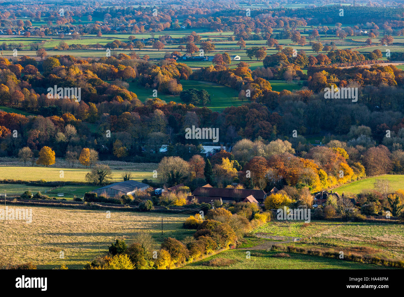 A l'automne une vue du haut de Fort Hill, Surrey, Angleterre, Royaume-Uni. Banque D'Images