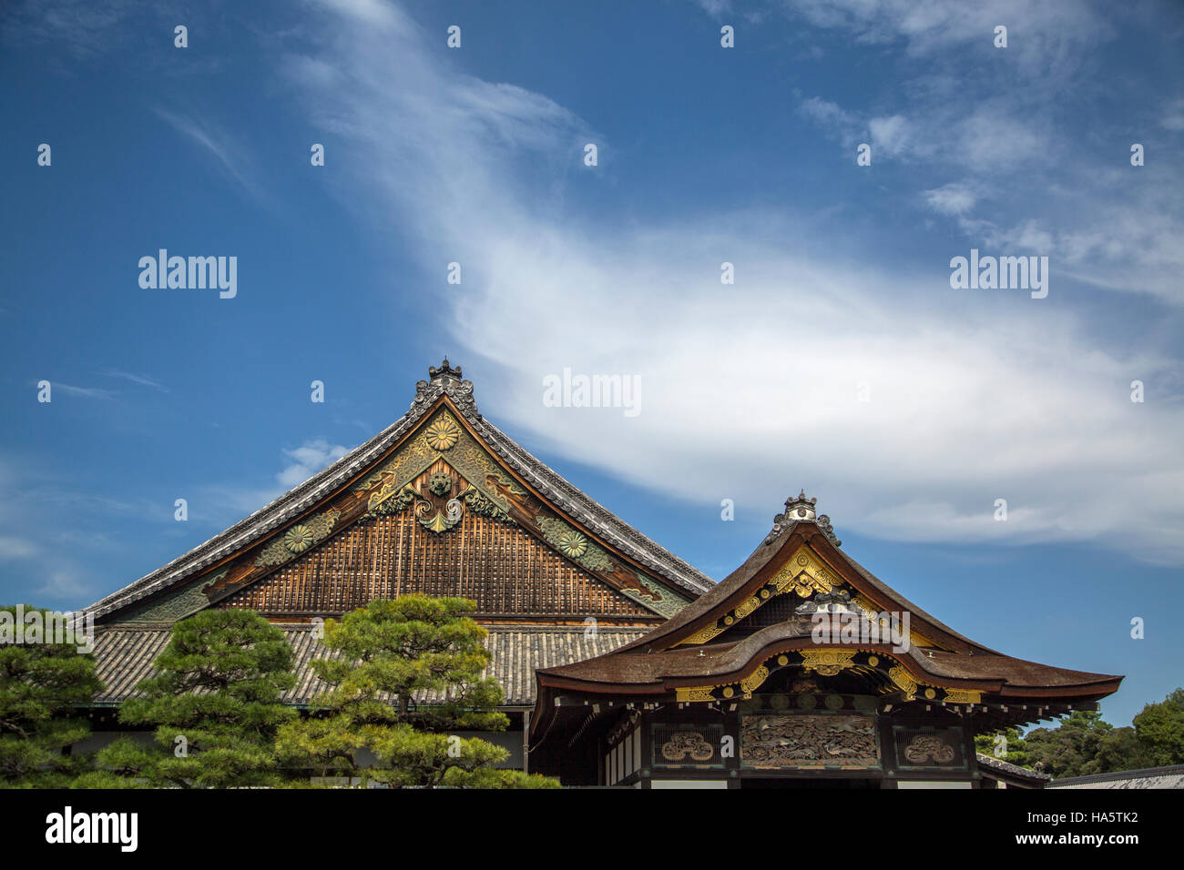 Détail de Ninomaru Palace au château de Nijo à Kyoto, Japon Banque D'Images