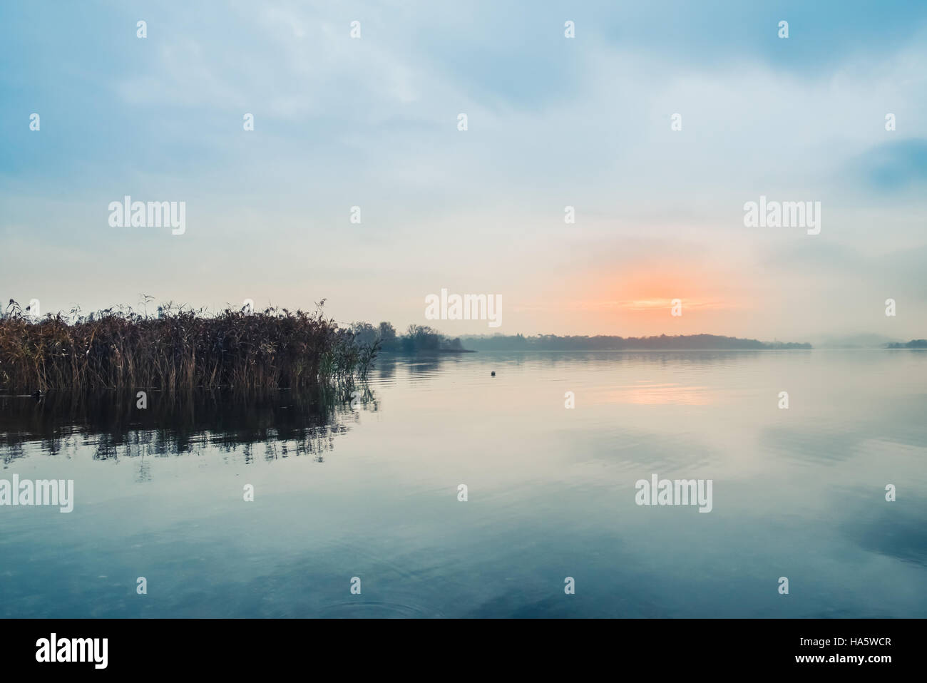 Lever de Soleil sur le lac tranquille et roseaux Banque D'Images