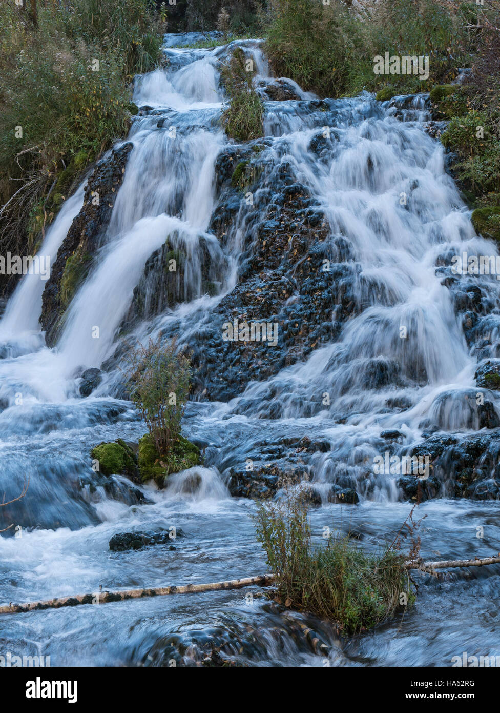 Roughlock Falls, Spearfish Canyon, le Dakota du Sud. Banque D'Images