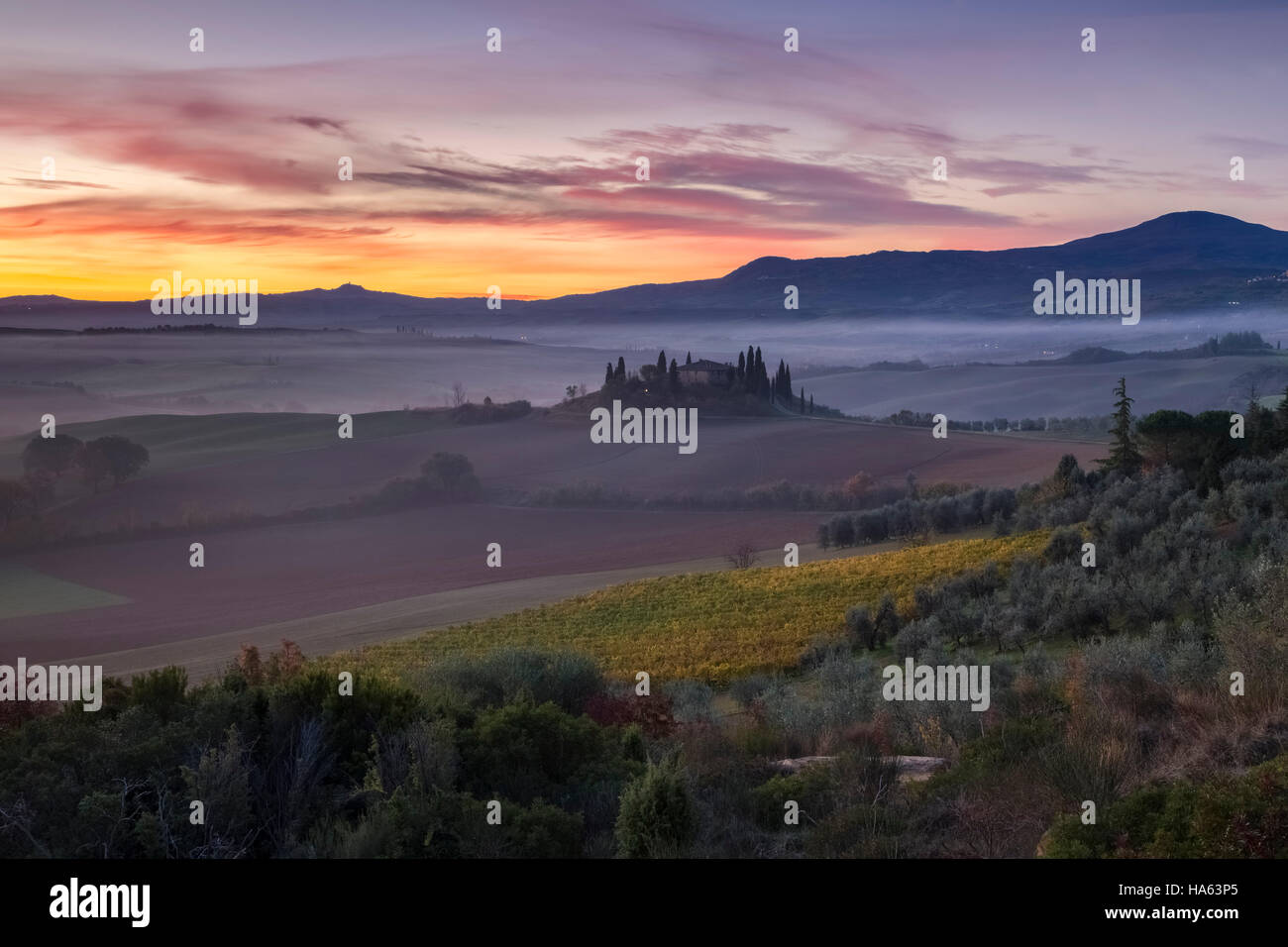 L'aube à la célèbre Podere Belvedere, symbole de la Val d'Orcia, Pienza, Toscane, Italie. Banque D'Images