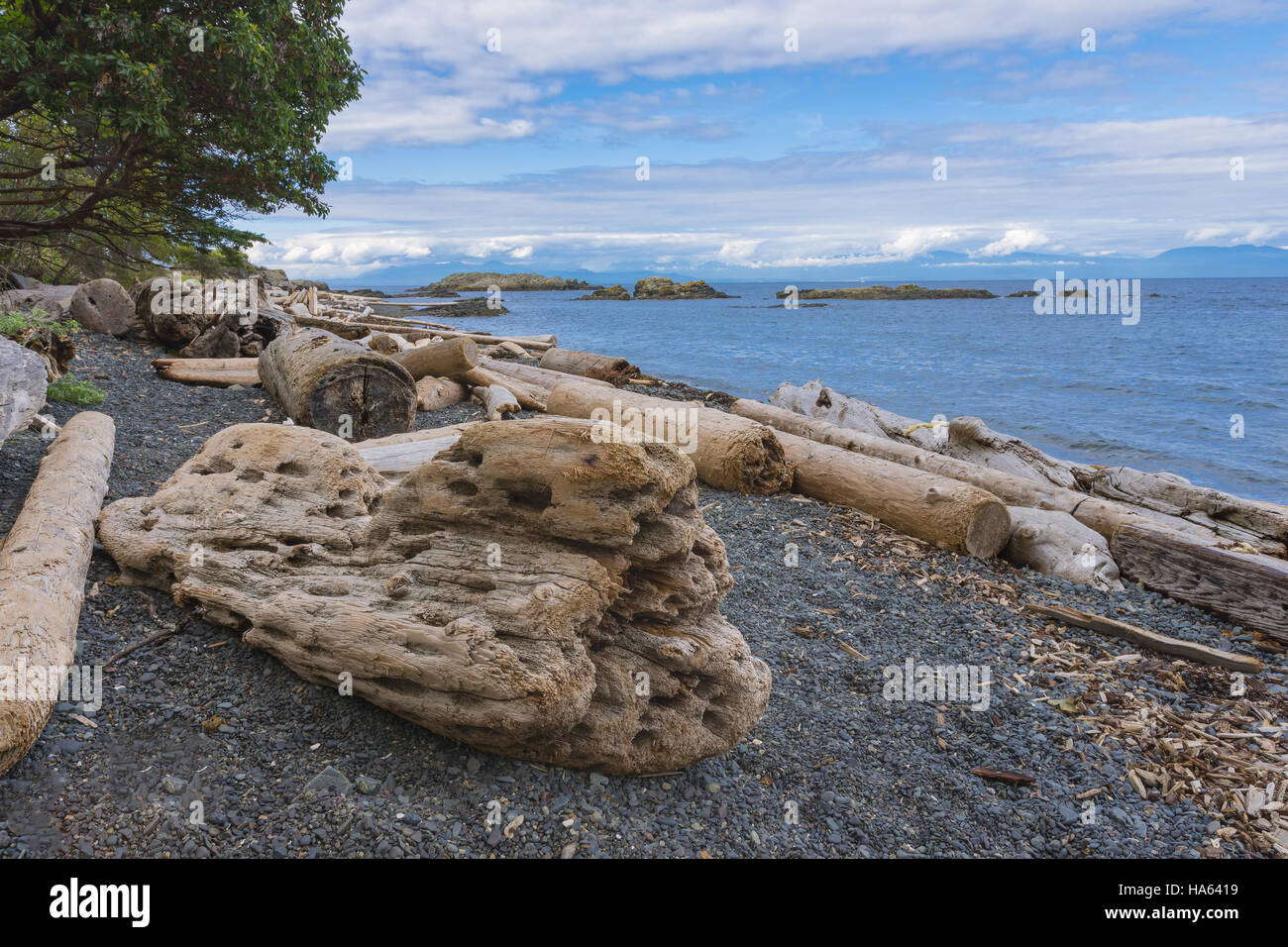Le Driftwood Beach sur l'île de Vancouver, Nanaimo, British Columbia Canada pour l'été Banque D'Images