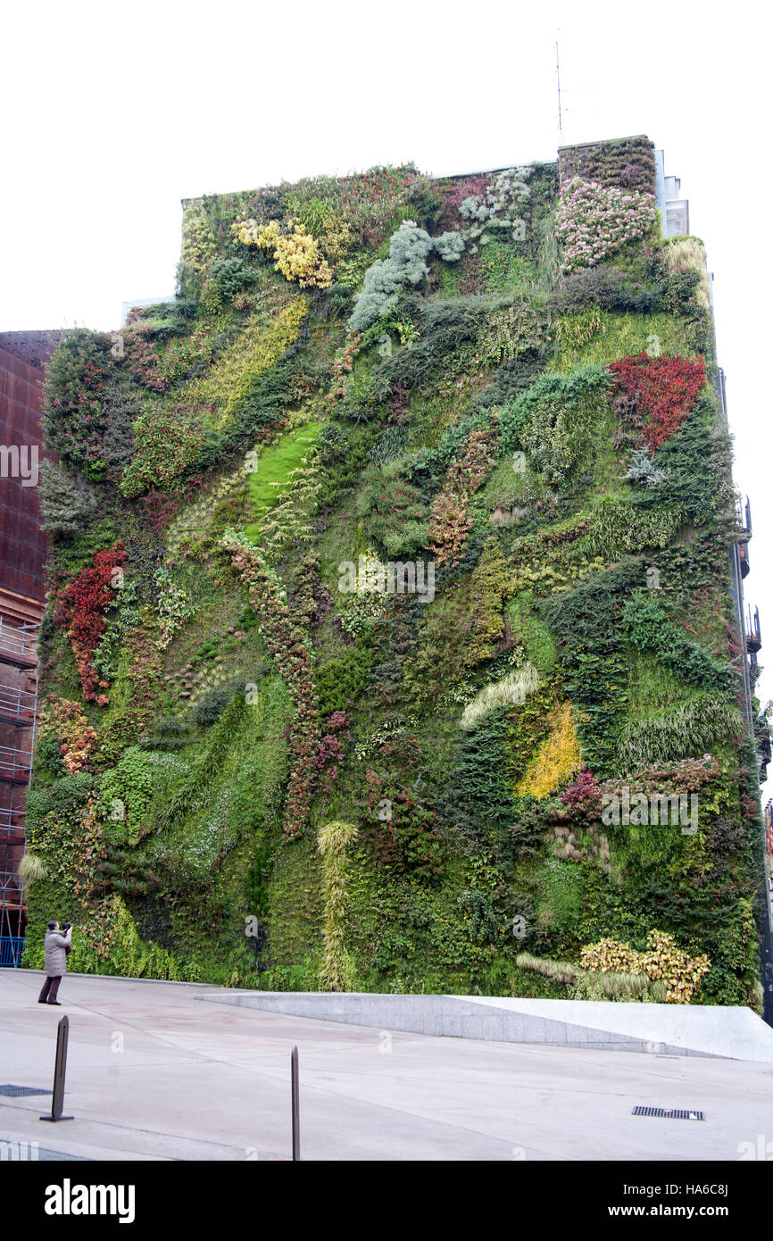 Le jardin vertical de Patrick Blanc CaixaForum Madrid, Espagne Banque D'Images