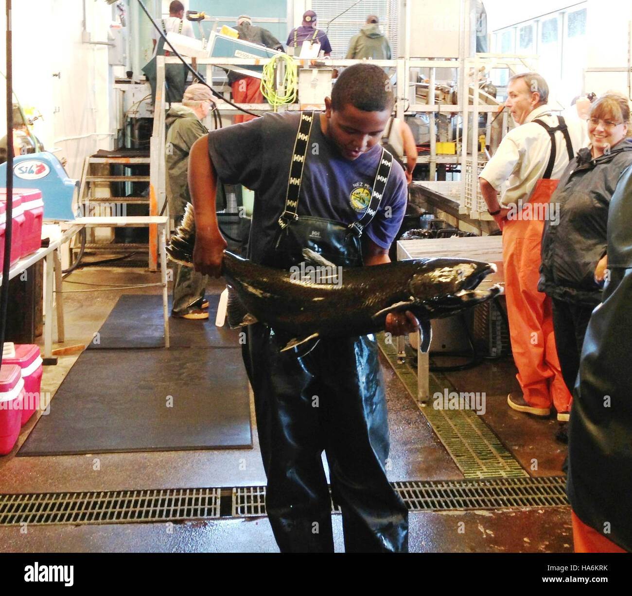 Eddiesfisheriesfws une tribu 16389178132 Nez Percé, stagiaire détient un grand mâle pendant le frai du saumon quinnat à National Fish Hatchery Dworshak Banque D'Images