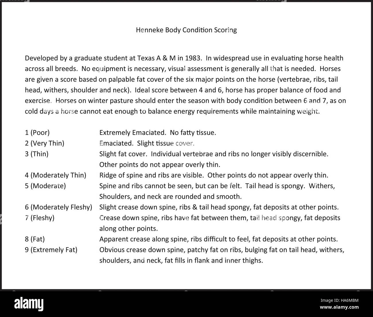 Le système Henneke Body condition Scoring est utilisé pour évaluer la santé physique de la faune, en particulier dans le cadre des programmes de gestion des parcs et de conservation de la faune. Il fournit une méthode normalisée d'évaluation de la santé animale, qui soutient des stratégies de conservation efficaces dans les parcs et les aires protégées du Nevada. Banque D'Images