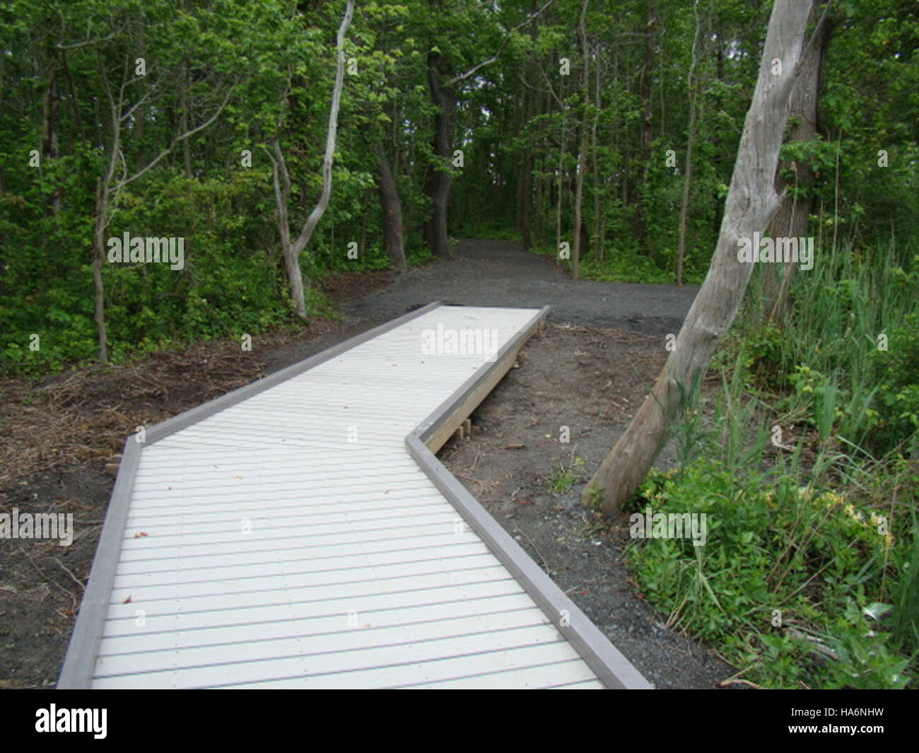 Fws-recouvrement-act-projets 4771869333 Bombay Hook National Wildlife Refuge Banque D'Images