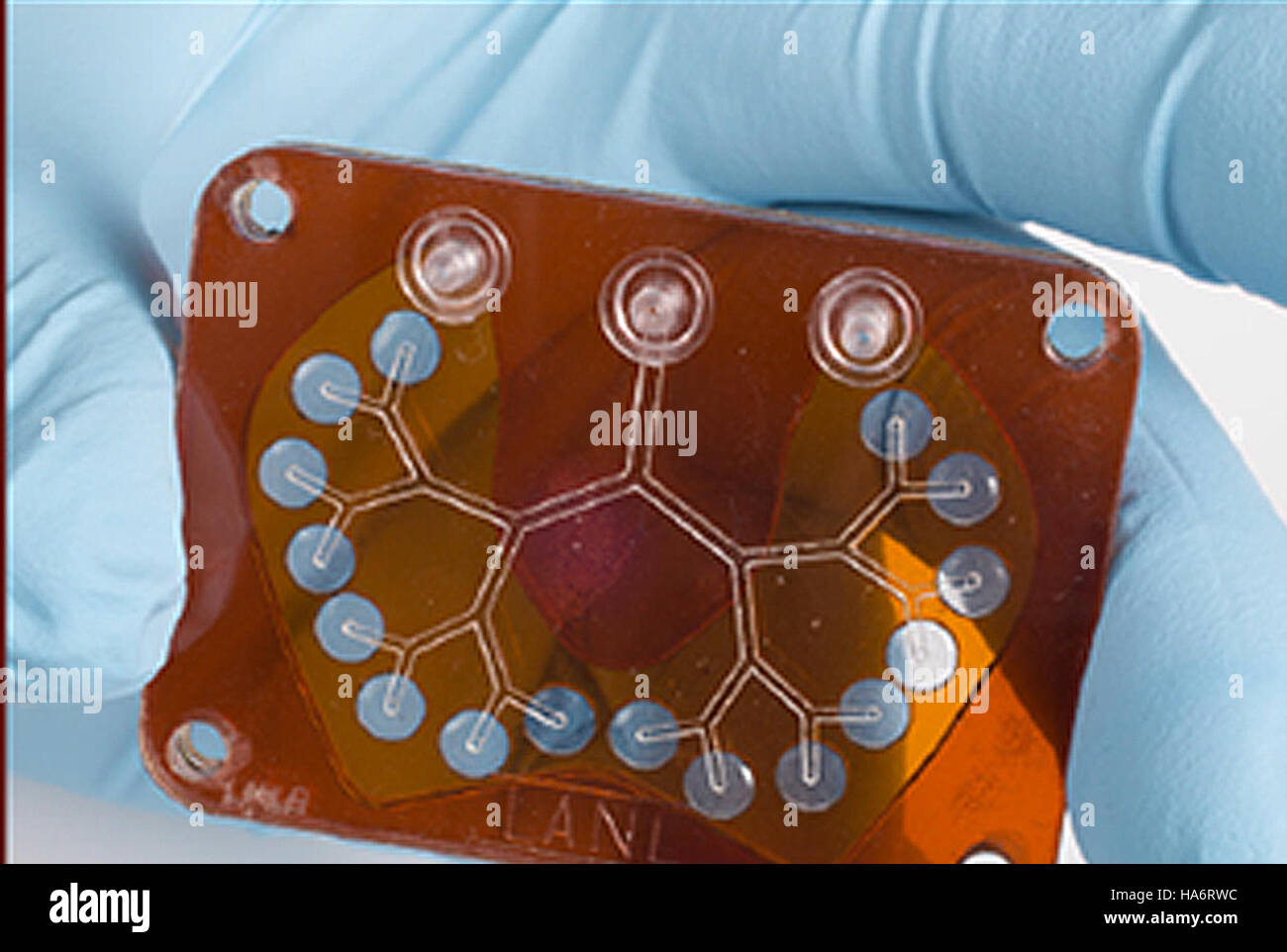 Le *poumon artificiel Pulmo* du laboratoire national de Los Alamos est une innovation médicale conçue pour aider les patients souffrant d’insuffisance pulmonaire. La photographie présente le dispositif, qui représente les progrès de la technologie des organes artificiels et des soins respiratoires. Banque D'Images