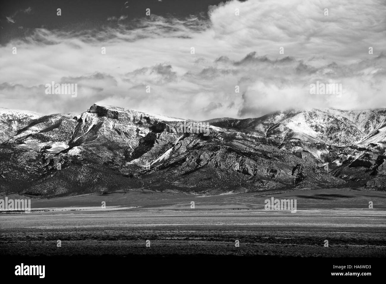 Le côté ouest de la chaîne des serpents à Ely, Nevada, est une région de beauté naturelle et d'intérêt scientifique, offrant une riche biodiversité et des caractéristiques géologiques. Banque D'Images