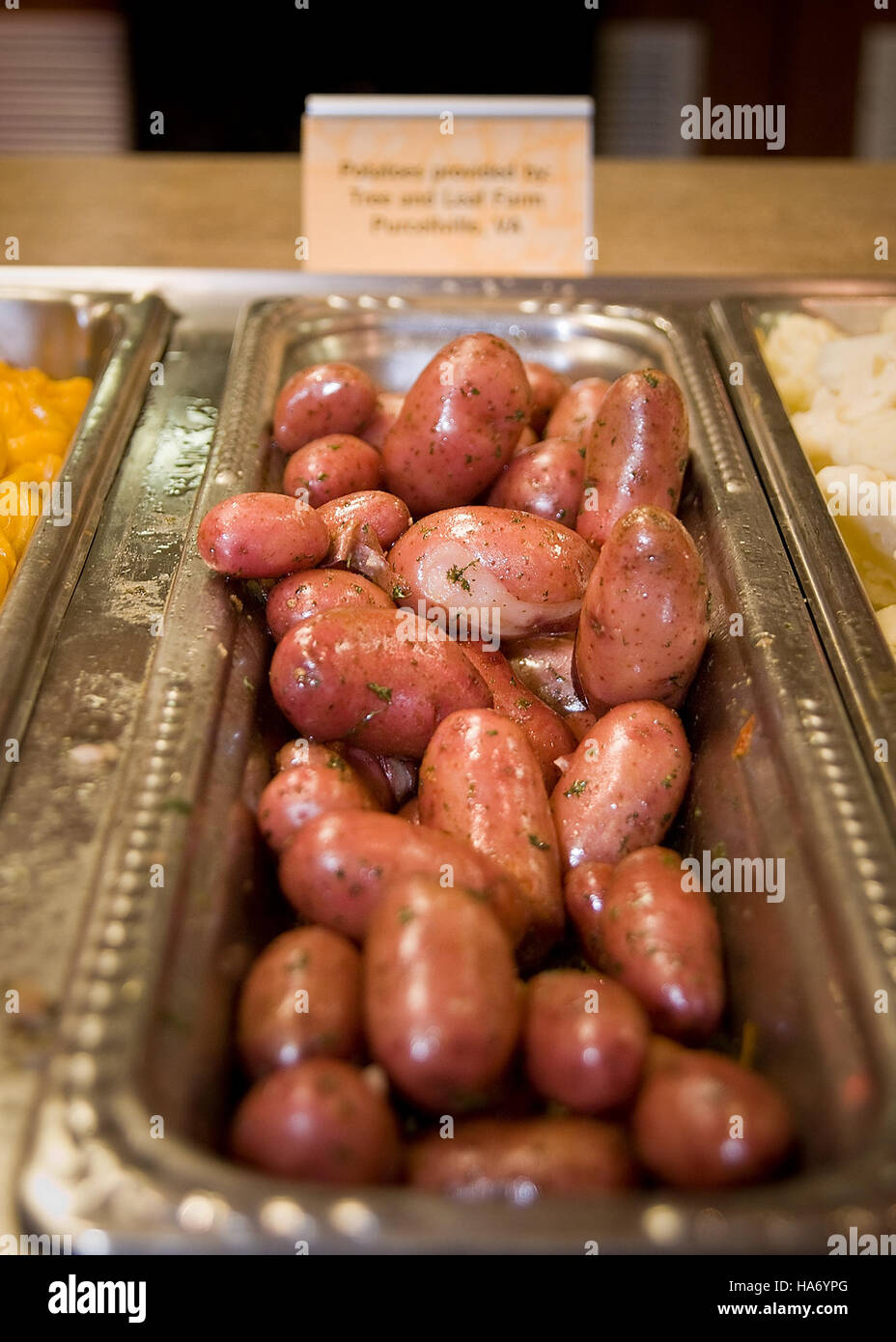 L'événement « Say Yes to Healthy Wednesday », organisé dans un parc national, promeut un mode de vie sain par le biais d'activités de plein air et d'éducation nutritionnelle, soutenant les initiatives de l'USDA visant à favoriser la santé et le bien-être communautaires. Banque D'Images
