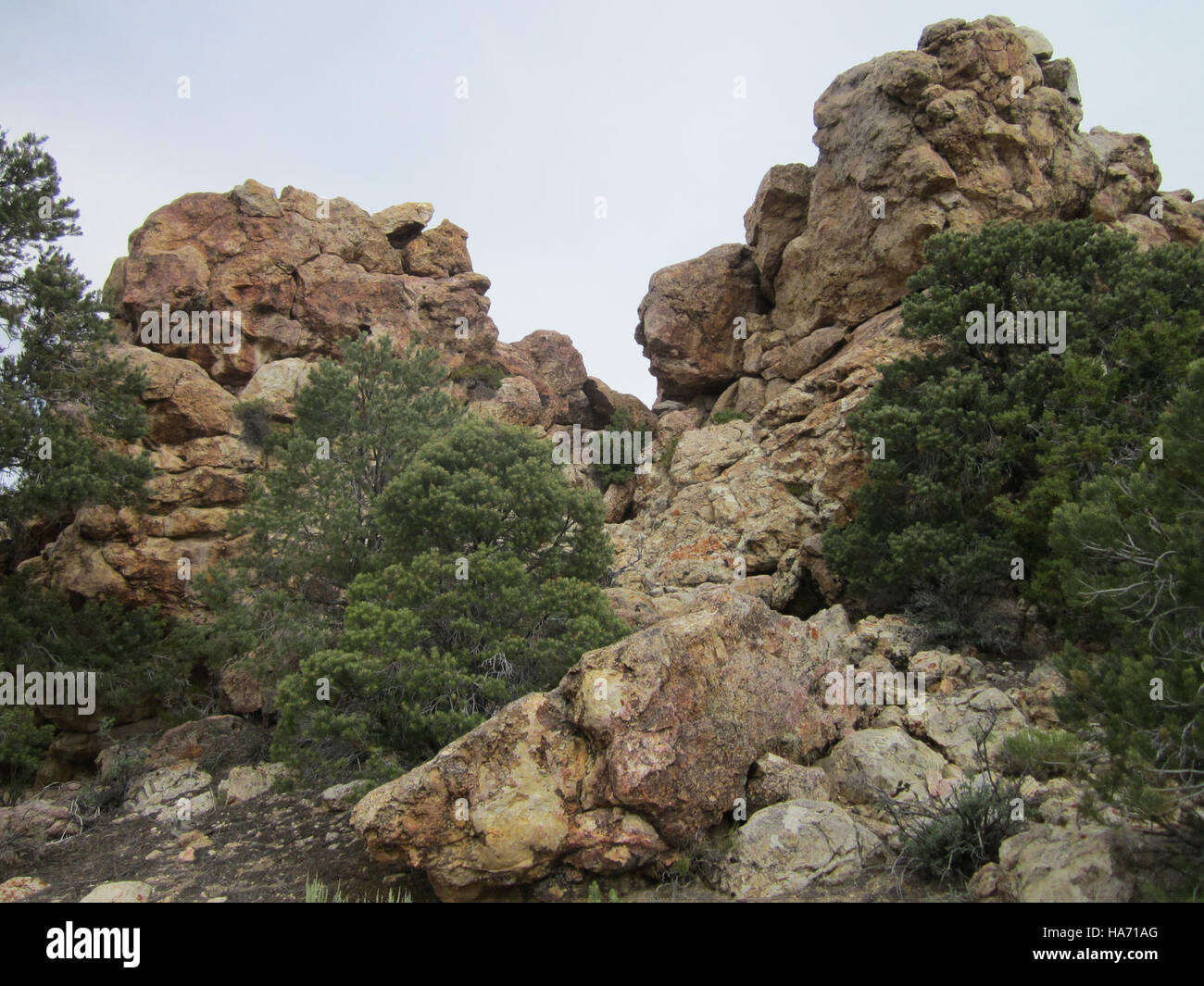 Geology on the Trail offre une expérience de randonnée éducative, permettant aux visiteurs d'explorer les caractéristiques géologiques et les formations le long de sentiers pittoresques. Ce programme aide les participants à comprendre l'histoire de la terre, les formations rocheuses et les processus géologiques qui façonnent les paysages. Banque D'Images