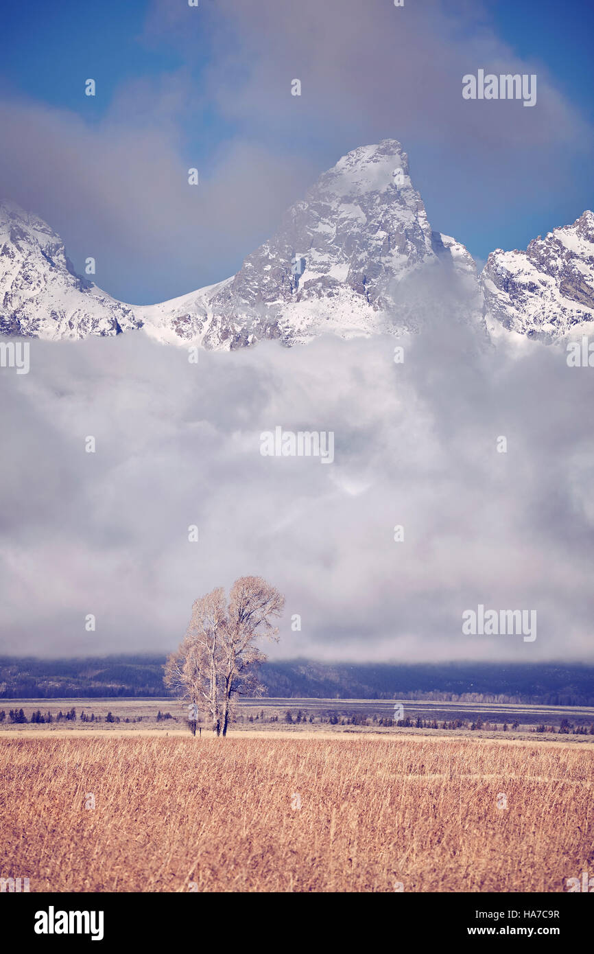 Tons Vintage Teton de montagnes dans le Parc National de Grand Teton, Wyoming, États-Unis. Banque D'Images Tons Vintage Teton de montagnes dans le Parc National de Grand Teton, Wyoming, États-Unis. Banque D'Images