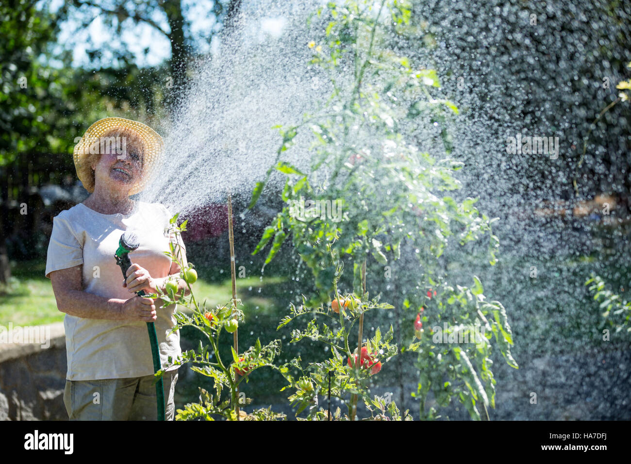 Senior woman watering plants avec un tuyau flexible Banque D'Images
