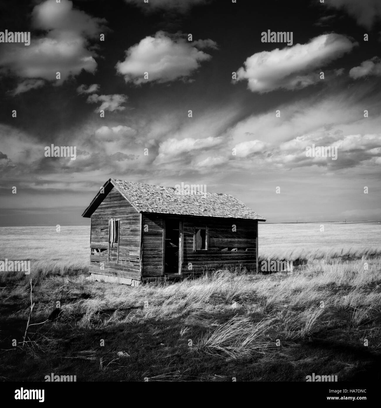 Bienvenue au Parc National de Pawnee, Colorado ! Où les rêves sont aussi vastes que le ciel et certains rêves viennent juste de mourir. Il est difficile de le mettre dans de l'al. Banque D'Images