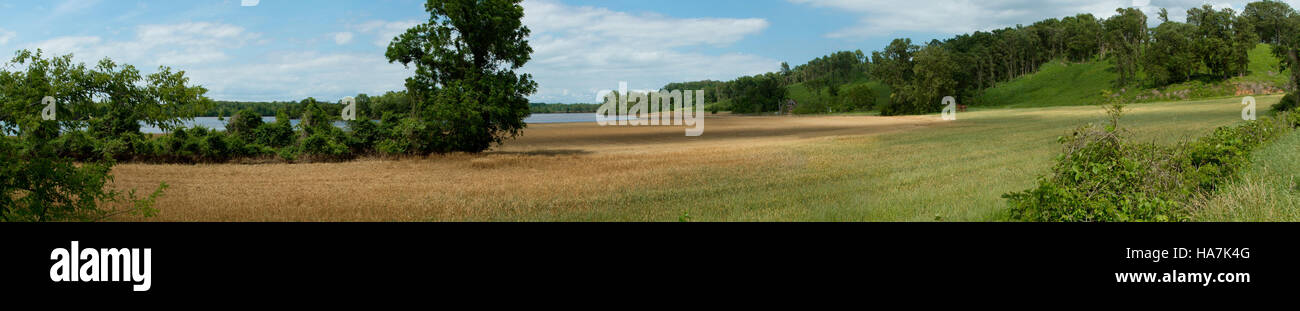 Les eaux de crue inondent les terres agricoles du Mississippi, y compris le coton, le maïs, le soja et le blé. Les inondations, vues depuis une vue panoramique, mettent en évidence les défis auxquels les agriculteurs sont confrontés avec les inondations des rivières qui affectent la production agricole. Banque D'Images