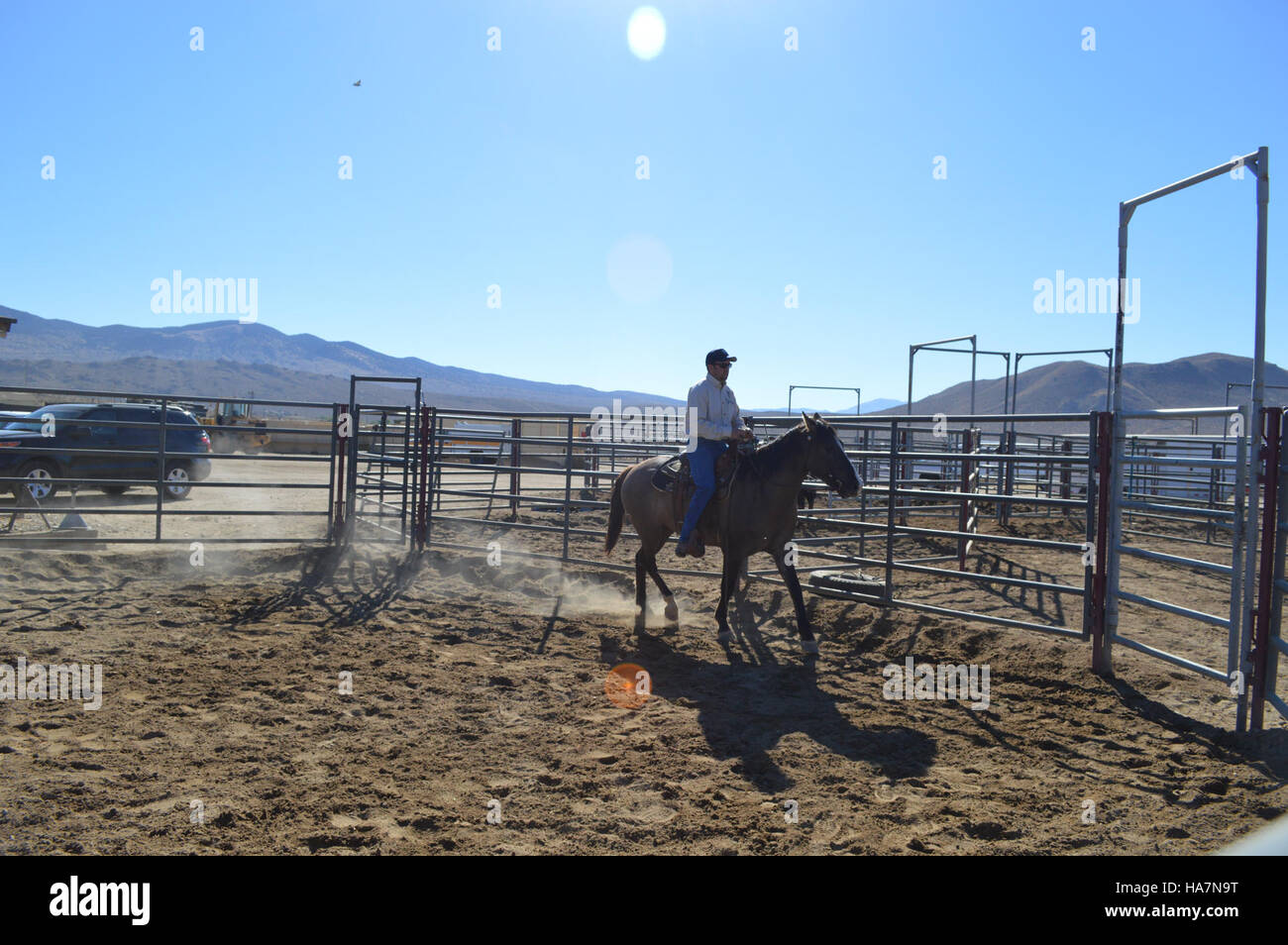 Le Bureau of Land Management (BLM) du Nevada supervise de vastes zones de terres publiques, assurant leur utilisation et leur conservation durables. Le BLM gère les ressources naturelles, y compris la faune, les forêts et les déserts, tout en équilibrant l'accès à la terre et la protection de l'environnement. Banque D'Images
