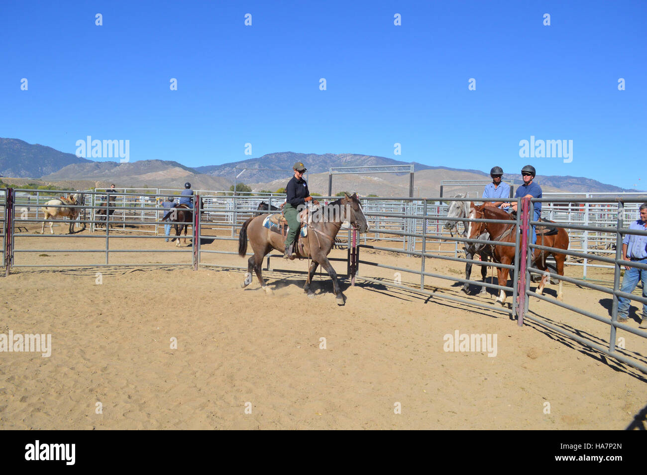 Un projet du Bureau of Land Management (BLM) au Nevada se concentre sur l'équilibre entre l'utilisation des terres et les efforts de conservation pour maintenir des écosystèmes durables dans les terres publiques. Banque D'Images