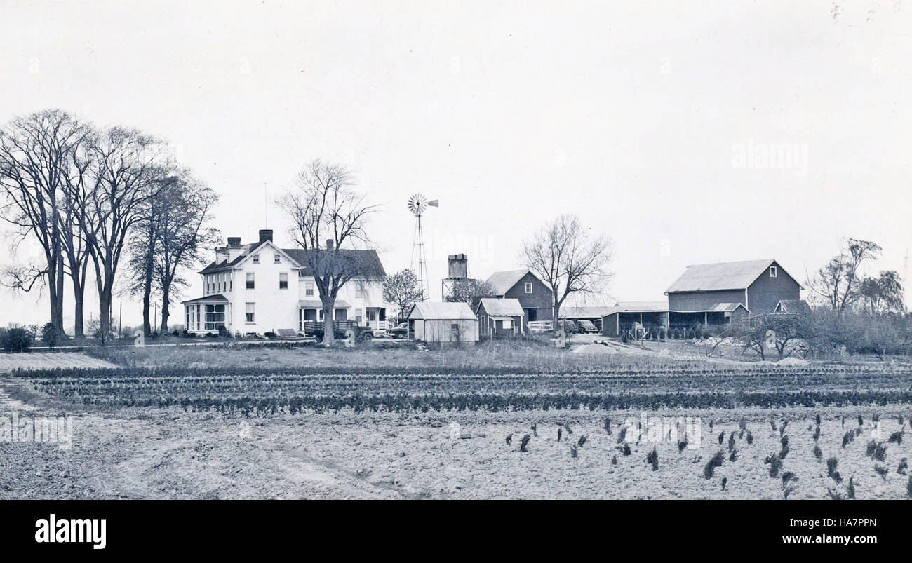 Les grandes cultures dans le comté de New Castle, Delaware, contribuent à l'économie agricole de la région. La ferme présente des structures traditionnelles comme un moulin à vent, mettant en valeur le patrimoine rural et les pratiques agricoles de la région. Banque D'Images