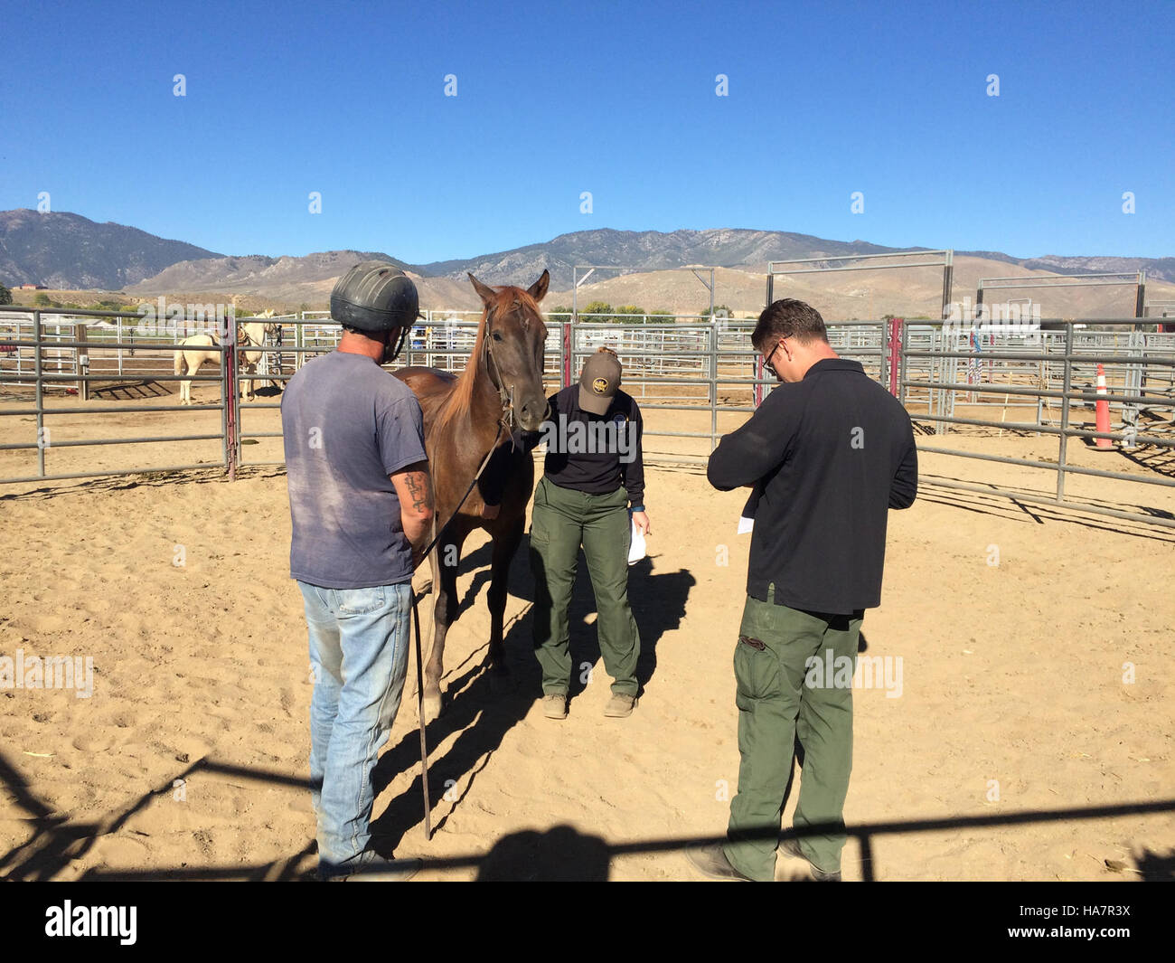 Cette image capture le paysage dans le Nevada sous le Bureau of Land Management. La région combine des caractéristiques naturelles avec des éléments politiques liés à l'utilisation et à la gestion des terres. Banque D'Images