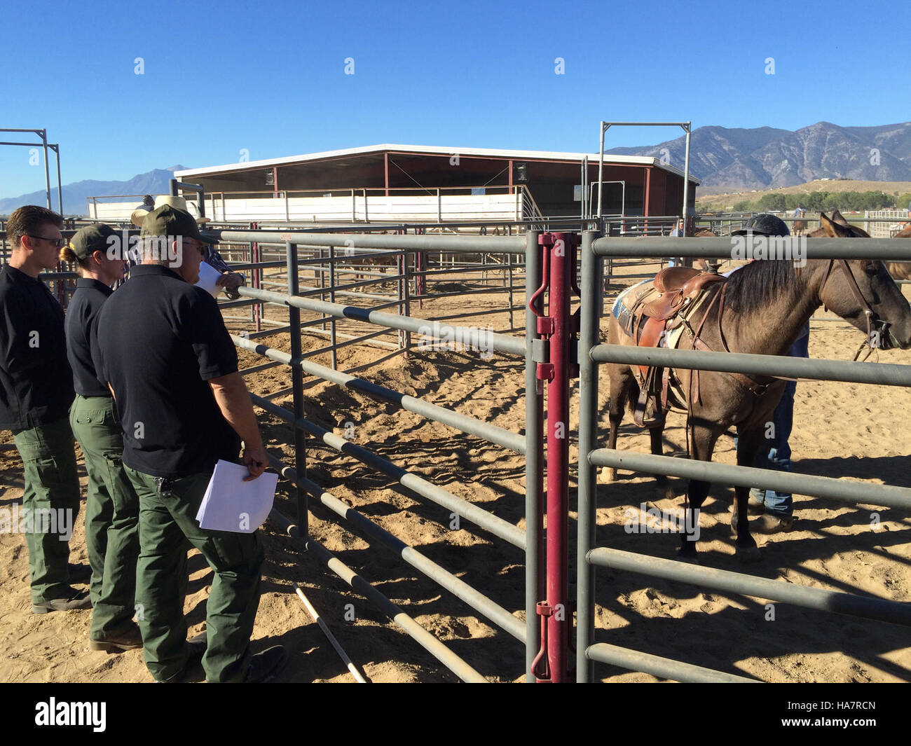 Cette image du Bureau of Land Management montre la diversité des paysages et des écosystèmes des terres publiques du Nevada, qui jouent un rôle crucial dans la conservation des habitats fauniques et la promotion de l'utilisation durable des ressources. Banque D'Images