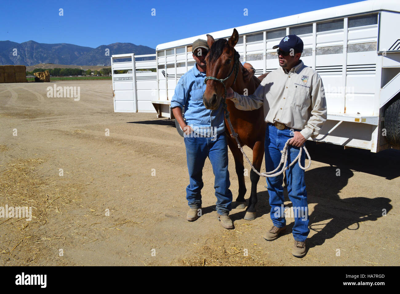 Le Bureau of Land Management (BLM) du Nevada gère les terres publiques, équilibrant les efforts d’extraction des ressources, de loisirs et de conservation pour protéger les divers écosystèmes de l’État. Banque D'Images