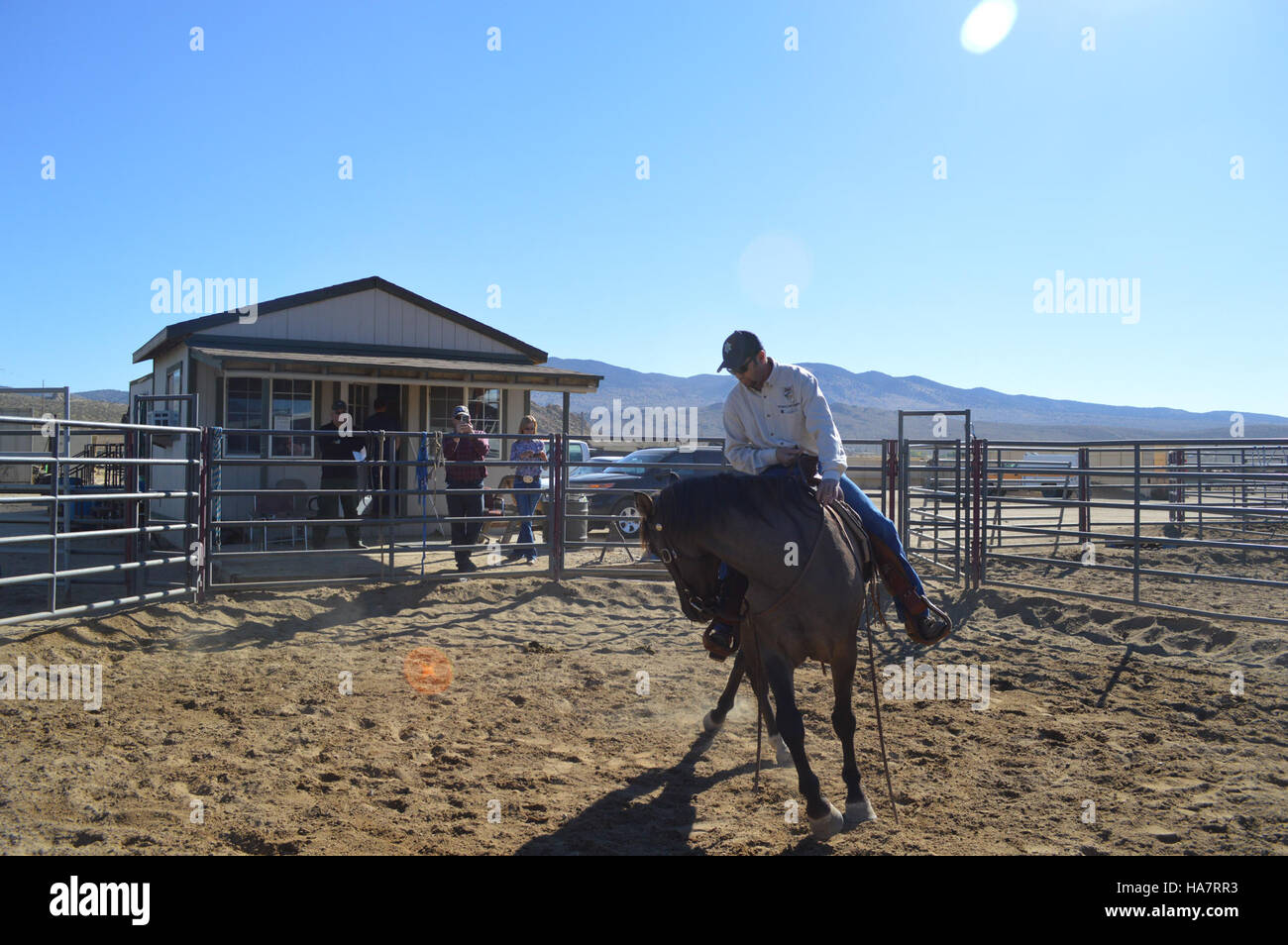 Une photographie du Bureau of Land Management (BLM) montrant un paysage pittoresque du Nevada, mettant l'accent sur l'intersection des milieux naturels, de la recherche scientifique et des considérations politiques concernant l'utilisation des terres et les politiques de conservation. Banque D'Images