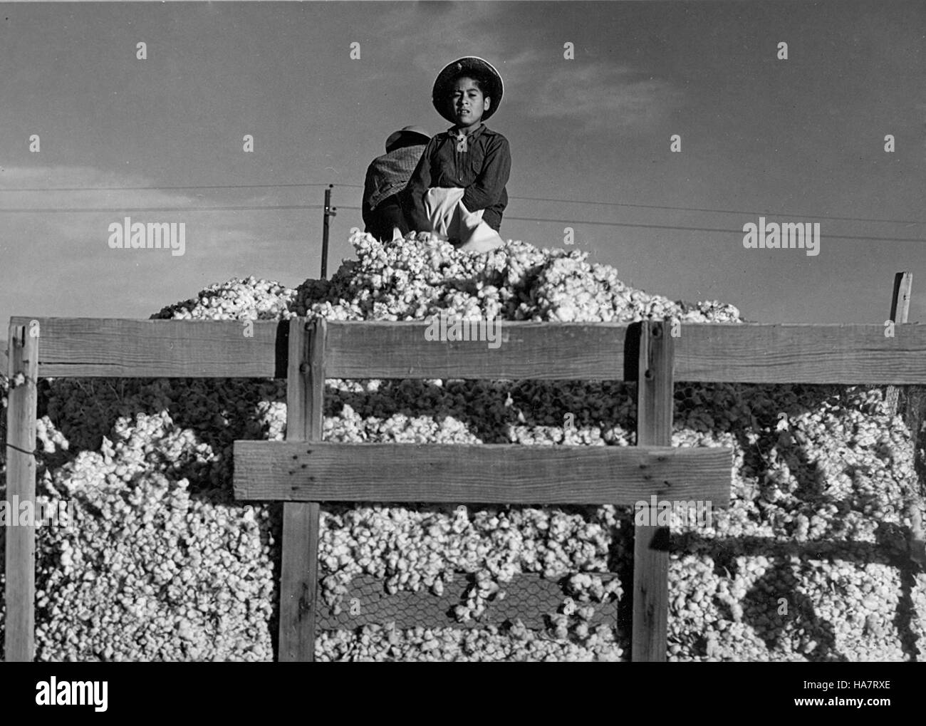 L'USDA participe à diverses initiatives qui font progresser la sécurité alimentaire, la conservation de l'environnement et les pratiques agricoles durables. Banque D'Images