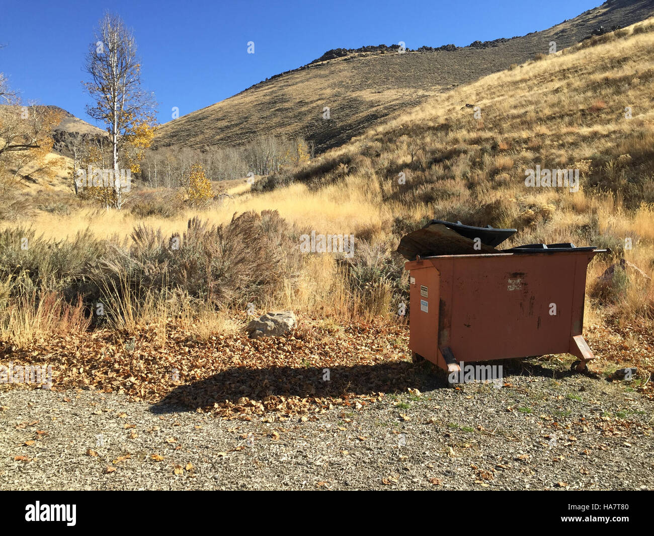 Le Bureau of Land Management (BLM) Nevada supervise les zones naturelles, assurant la protection des terres publiques, des habitats fauniques et des ressources de la région. Banque D'Images