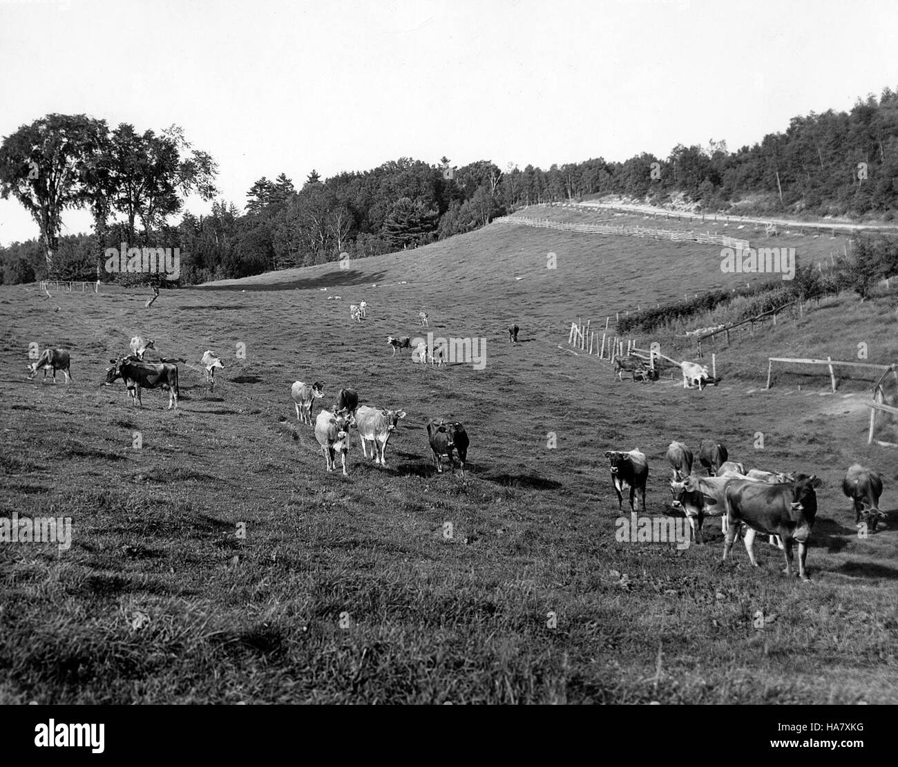 L’USDA a célébré son 150e anniversaire, marquant une étape importante dans le soutien à l’agriculture américaine, aux communautés rurales et à la sécurité alimentaire par l’éducation, la sensibilisation et l’innovation. Banque D'Images
