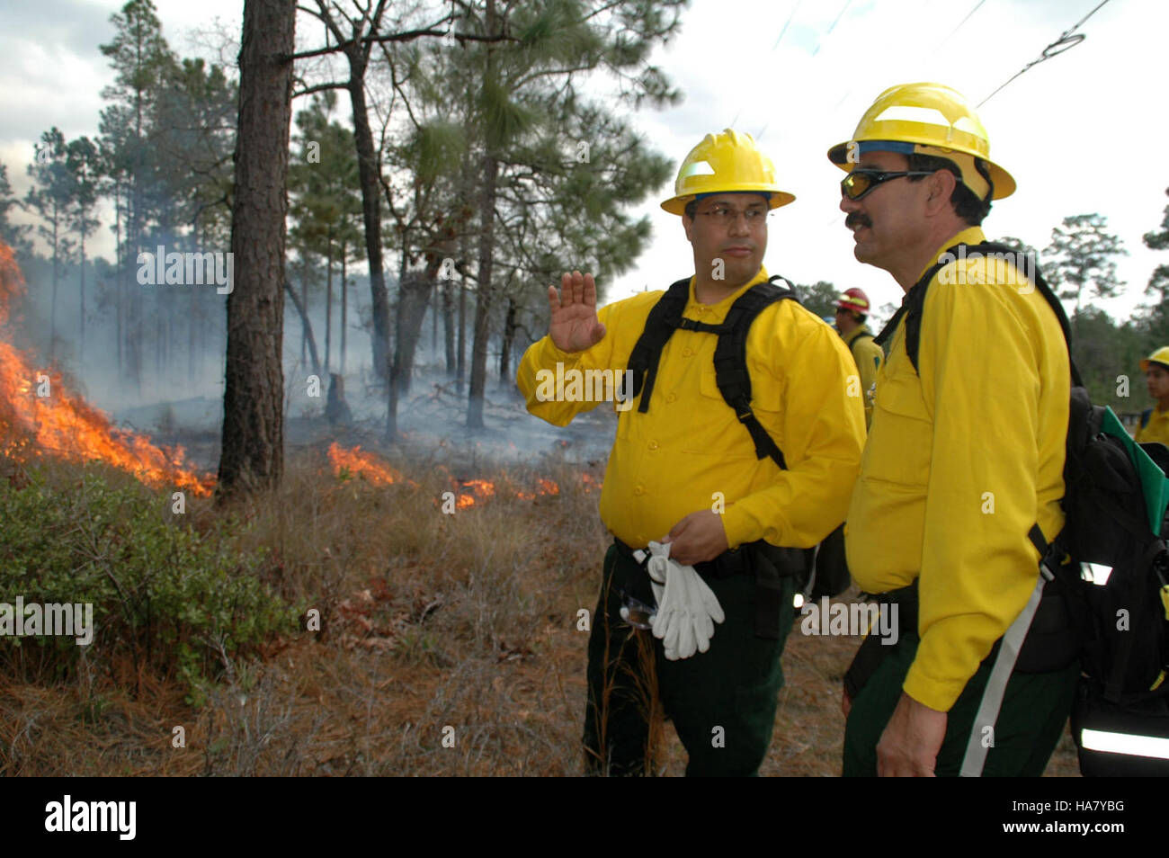 Un fonctionnaire de l'USDA s'exprimant lors d'un événement, discutant des politiques agricoles et de leur impact sur les pratiques durables, la sécurité alimentaire et le développement économique national. Banque D'Images