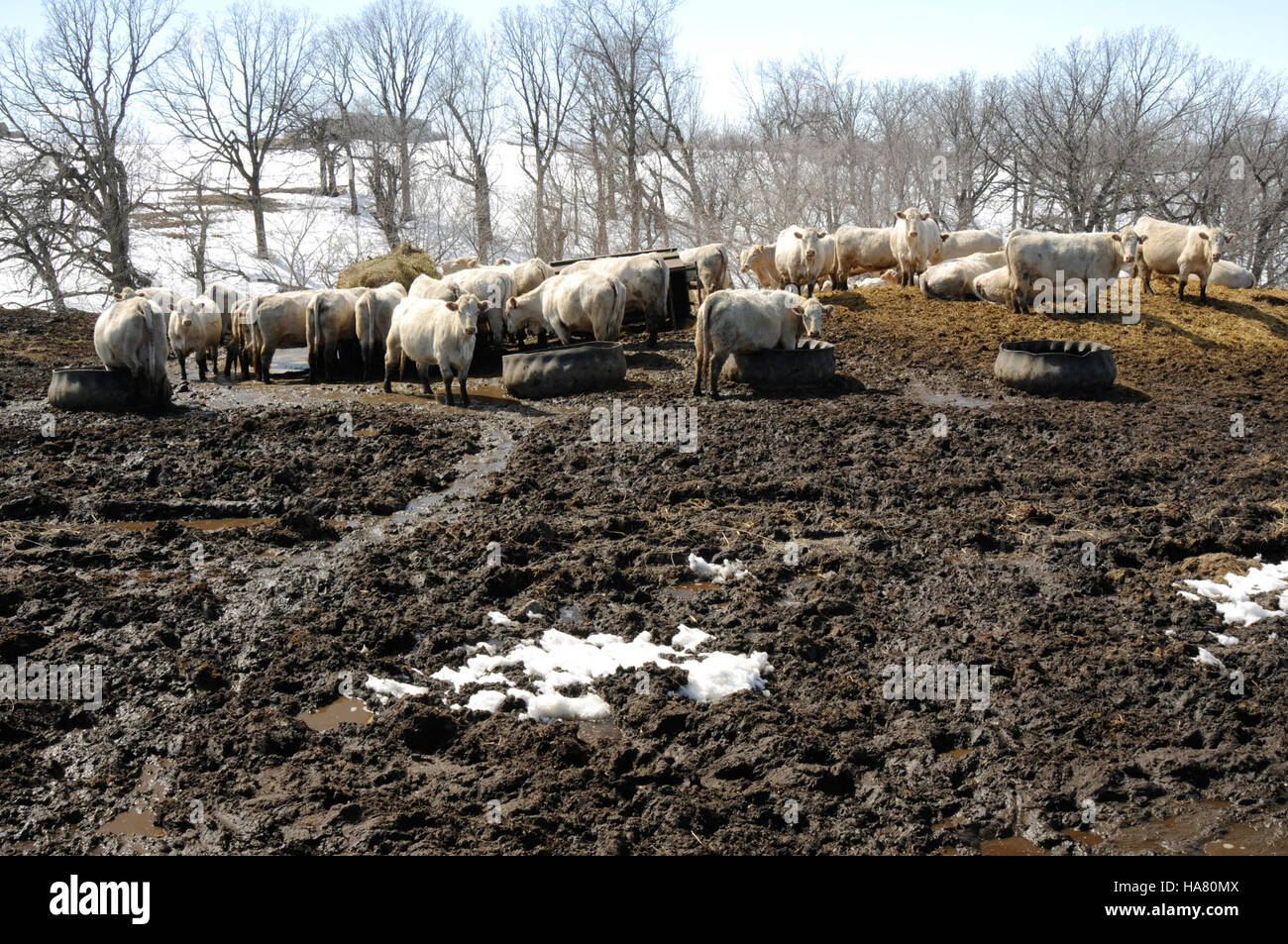 Célébration du 150e anniversaire de l'USDA marquée par un événement spécial dans un parc national. L'occasion a souligné les contributions du Ministère à l'agriculture, à la conservation et à la gérance de l'environnement partout aux États-Unis. Banque D'Images