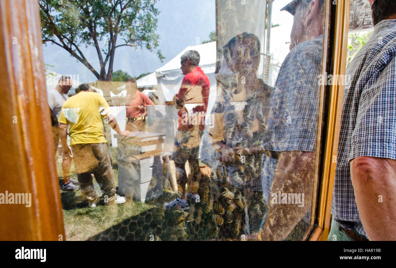 Le 150e anniversaire de l'USDA a été célébré avec un festival communautaire au National Mall. L'événement a présenté les contributions des universités qui accordent des subventions de terres et le rôle de l'USDA dans l'agriculture américaine. Banque D'Images