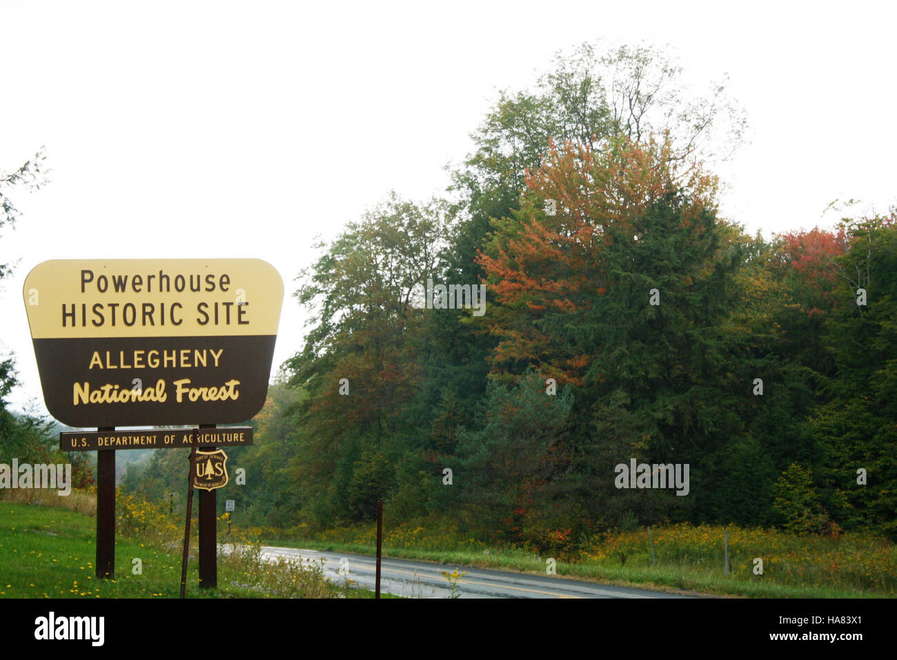 Cette photo capture le feuillage automnal vibrant dans une forêt nationale gérée par le Service forestier de l’USDA, mettant en valeur la transformation saisonnière des feuilles dans les écosystèmes forestiers. Banque D'Images