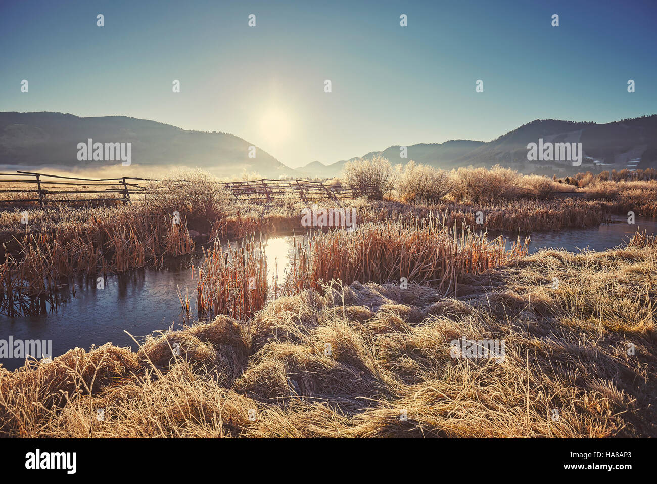 Tons rétro et brumeux matin glacial sur le lac dans le Grand Teton National Park, Wyoming, USA. Banque D'Images