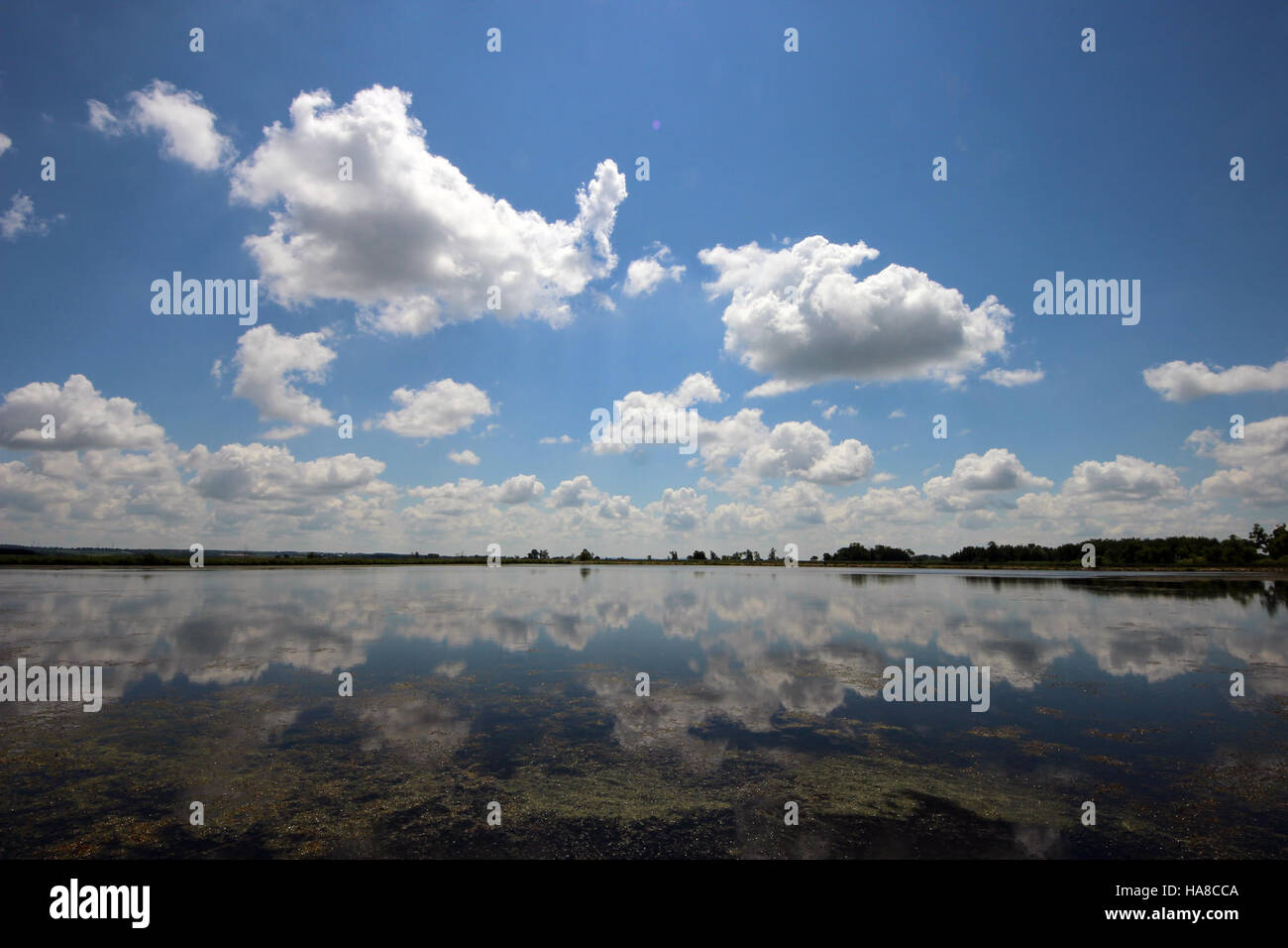 Horicon National Wildlife refuge dans le Wisconsin sert d'habitat vital pour les oiseaux migrateurs et d'autres espèces sauvages, soutenant la biodiversité et les efforts de conservation dans la région. Banque D'Images
