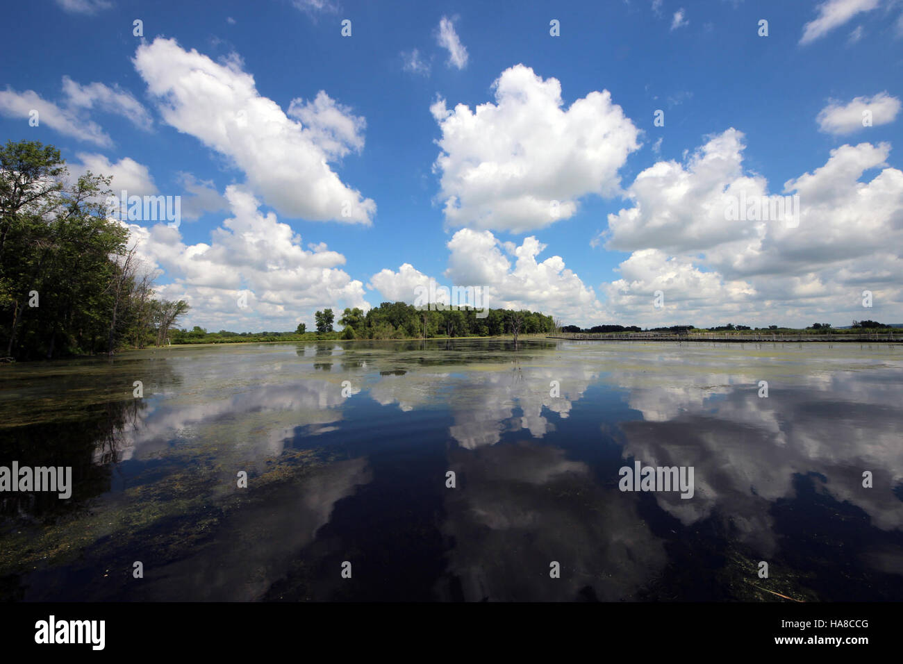 Horicon National Wildlife refuge, situé dans le Wisconsin, est un habitat important pour les oiseaux migrateurs, offrant un sanctuaire pour la faune et soutenant la biodiversité dans la région. Banque D'Images