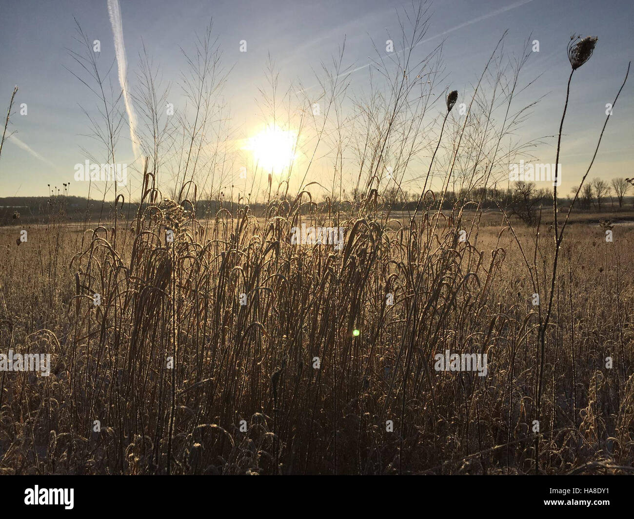 Le Horicon National Wildlife refuge dans le Wisconsin est un habitat essentiel pour les oiseaux migrateurs, offrant une zone protégée pour la faune et les plantes, contribuant ainsi à la conservation de la biodiversité. Banque D'Images
