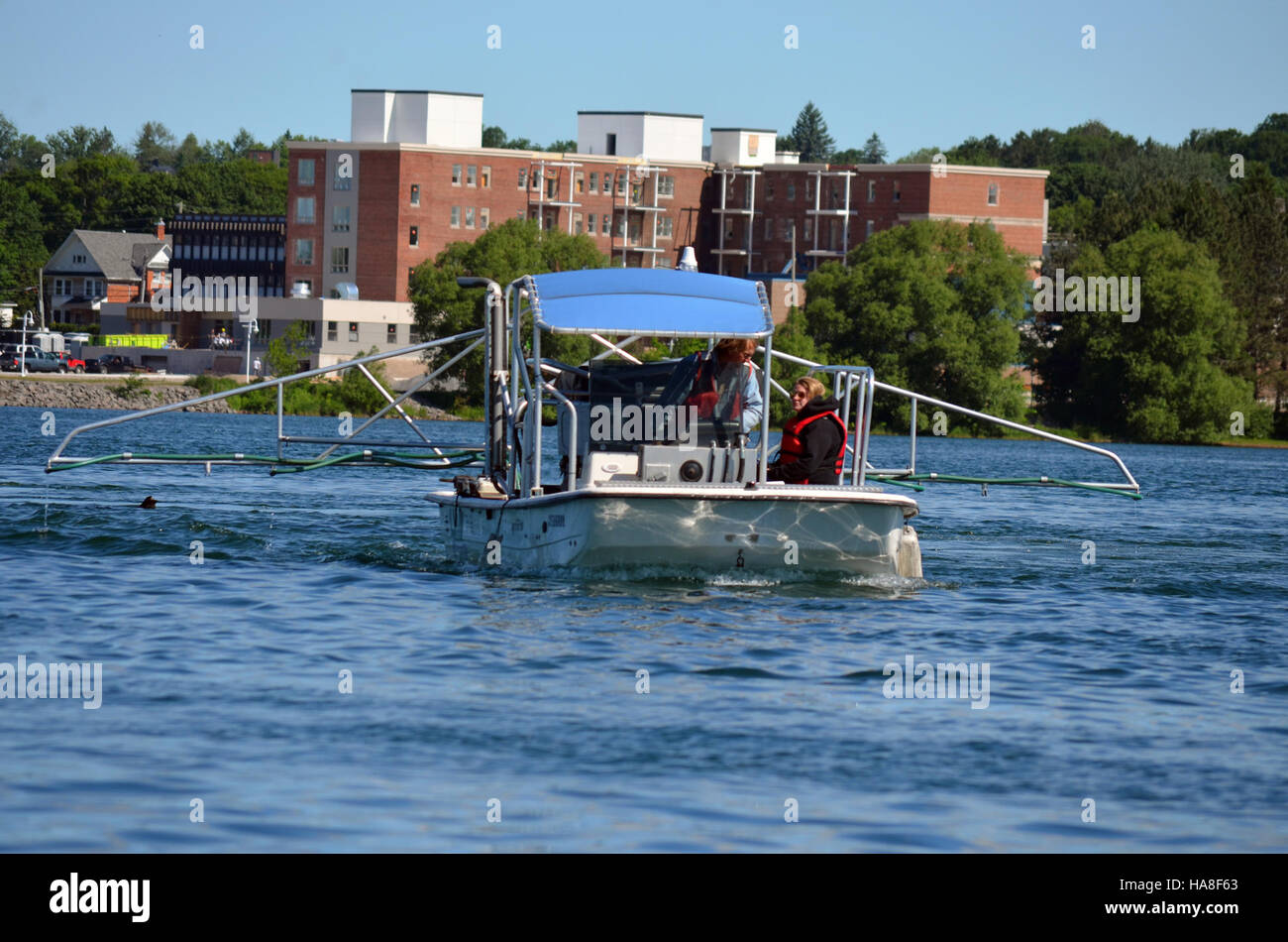 Cette image se rapporte à un projet de traitement du bayluscide mené par Pêches et Océans Canada, qui vise à contrôler les espèces envahissantes dans les milieux aquatiques afin de préserver les écosystèmes locaux. Banque D'Images