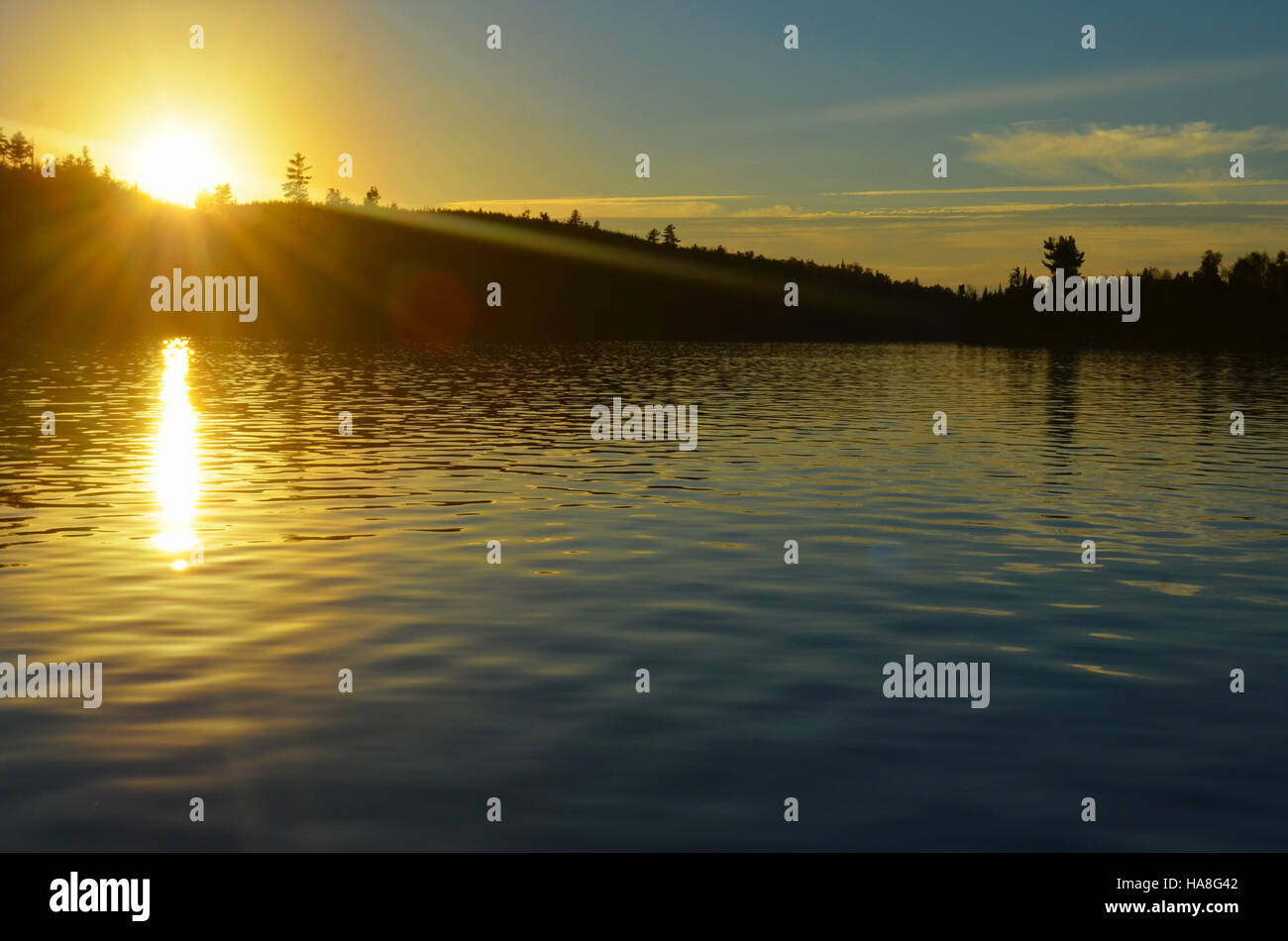 Un coucher de soleil paisible à Birch Lake dans le Midwest, capturant la beauté tranquille de la nature et mettant en valeur l'habitat naturel et la biodiversité de la région. Banque D'Images