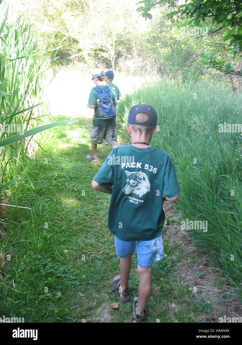 Les Scouts des CUB participent à un programme d'éducation en plein air dans un parc national, en apprenant au sujet de la faune, de la nature et de l'importance de la conservation dans l'environnement du parc. Banque D'Images