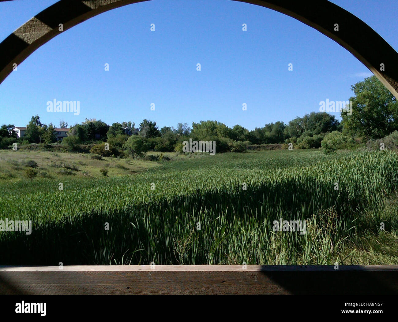 Le projet Eagle Scout dans un parc national comprenait la construction d'un belvédère pour les visiteurs du parc, l'amélioration de l'expérience des visiteurs et le soutien des efforts de conservation de l'environnement dans le parc. Banque D'Images