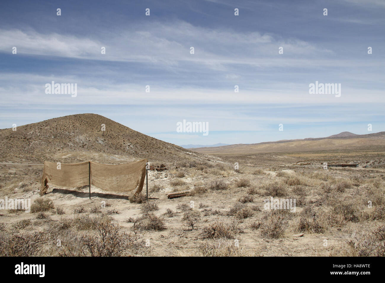 Le rassemblement de chevaux sauvages des montagnes Jackson au Nevada fait partie des efforts continus pour gérer les populations de chevaux sauvages. Cet événement, qui a lieu le jour 9, assure la préservation de l’équilibre écologique et de l’habitat de la faune locale tout en maintenant la santé de la population de chevaux de la région. Banque D'Images