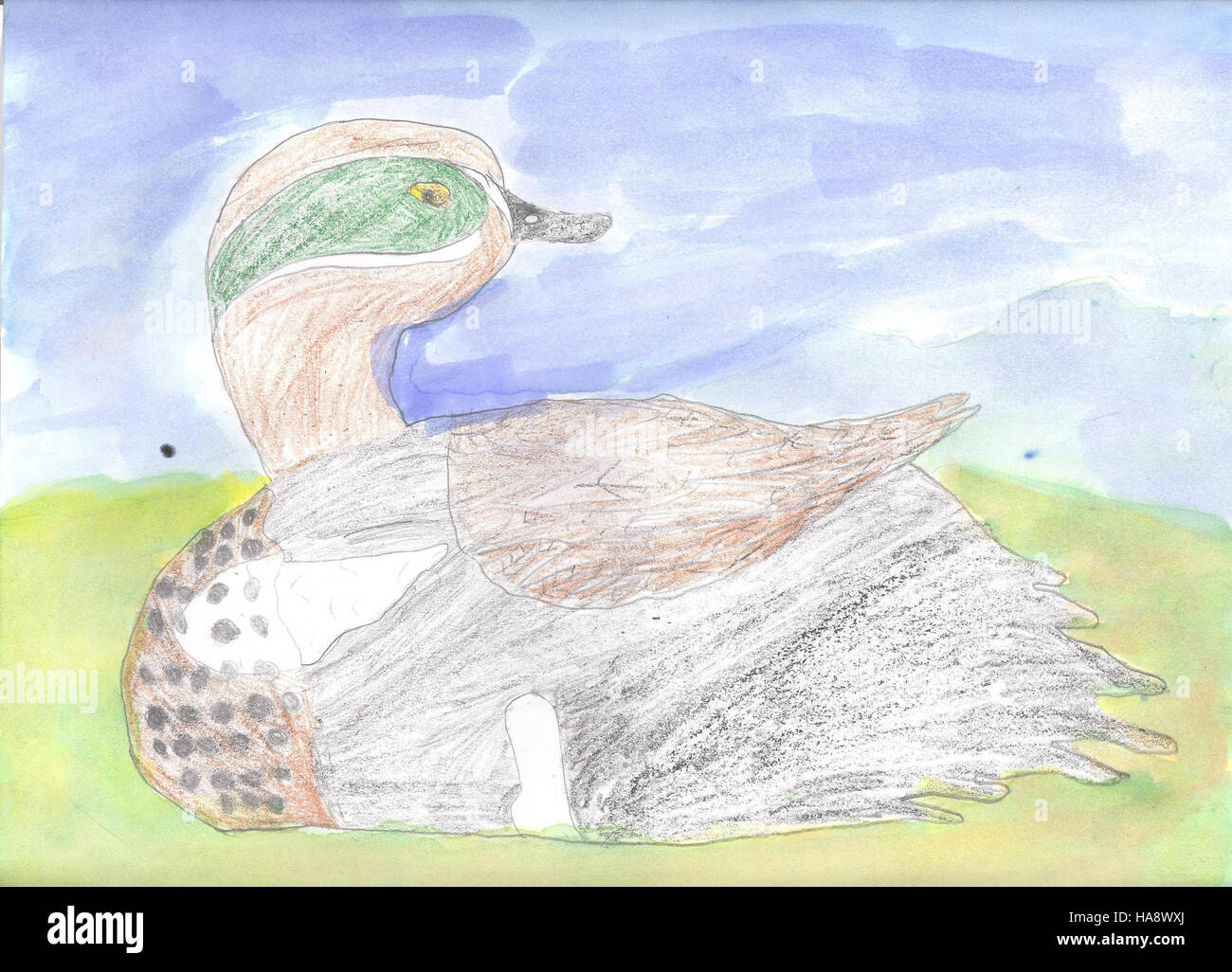 Cette image montre l'équipe primée, Molly Cannon Group 1, qui a remporté la troisième place dans un événement de conservation de la faune dans un parc national. Leurs efforts soulignent l'importance de la collaboration et de l'engagement dans la protection de la faune et des écosystèmes naturels. Banque D'Images