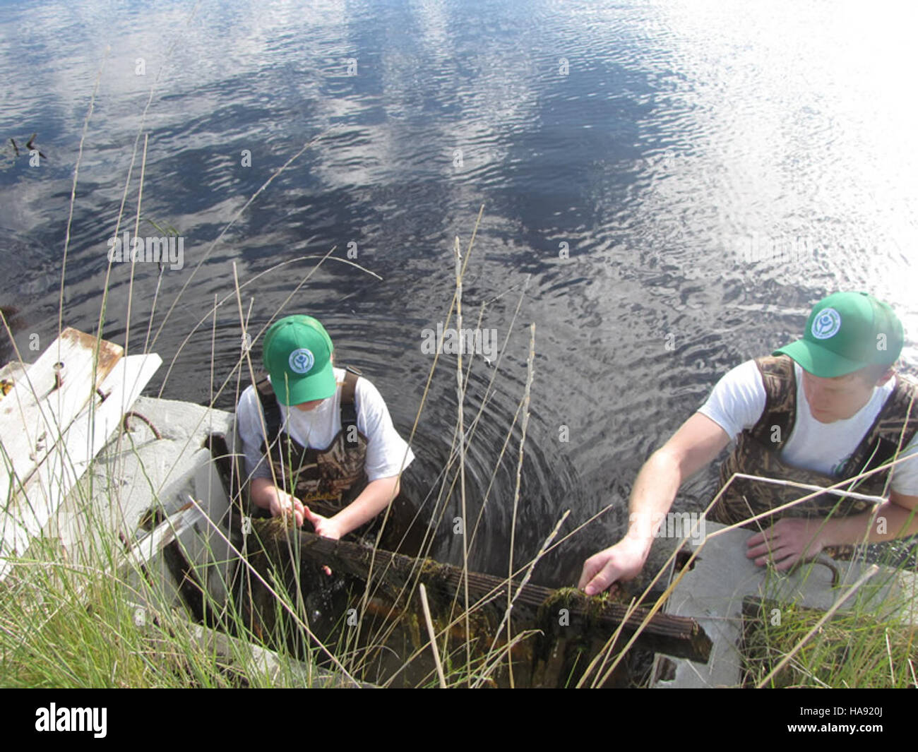 Les efforts de lutte contre les mauvaises herbes dans un parc national visent à protéger les espèces végétales indigènes et à préserver l'écosystème du parc. La lutte contre les mauvaises herbes envahissantes est essentielle au maintien de la biodiversité et de la santé du paysage. Banque D'Images